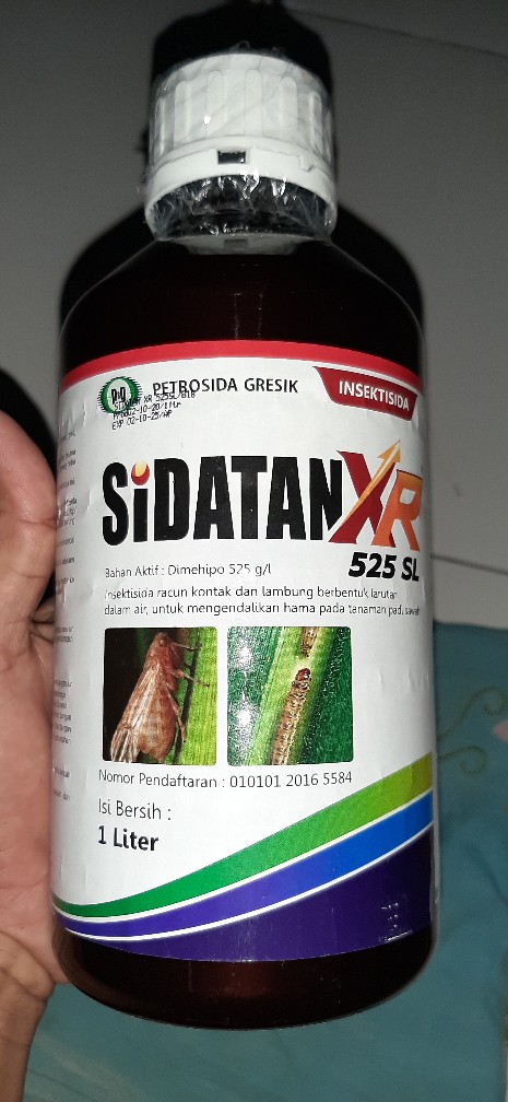 Sidatan Xr Pestisida Insektisida Pengendali Sundep / Penggerek Batang / Wereng Coklat 500ml 1liter