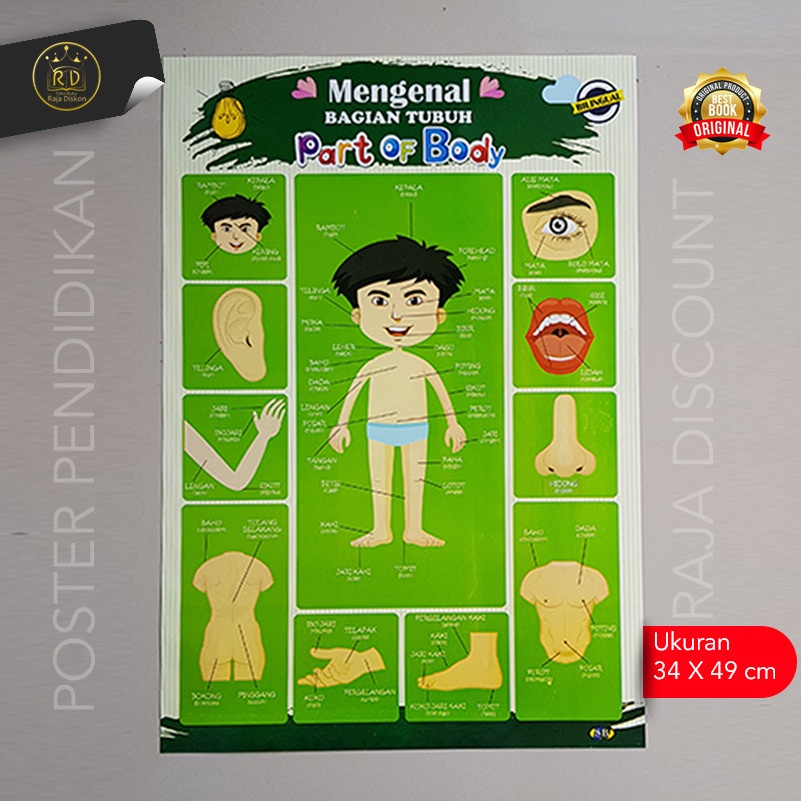 

Mengenal Bagian Tubuh