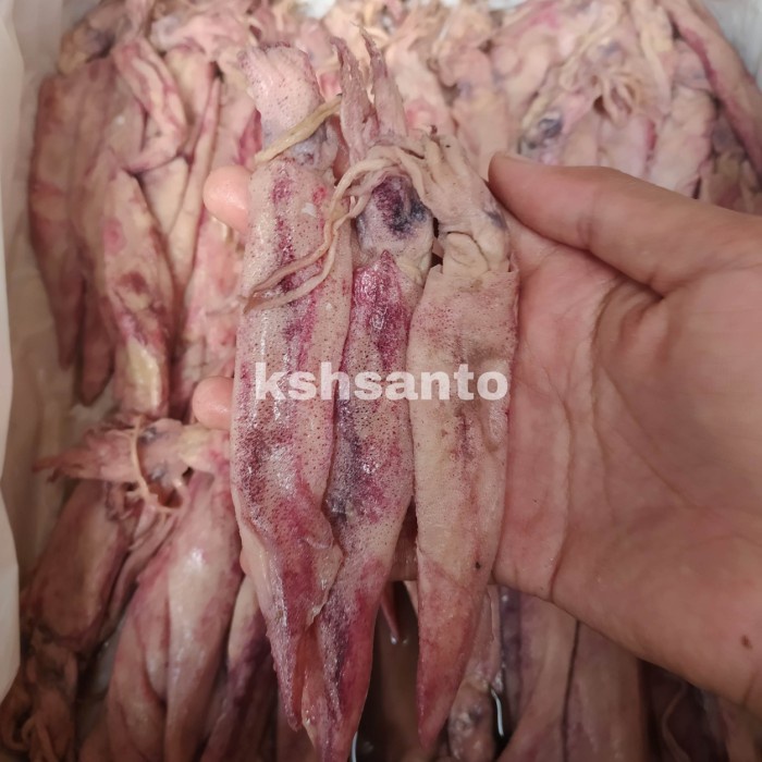 

Q12 Ikan Asin Cumi Panjang/Lontar-500Gram Dw51qs