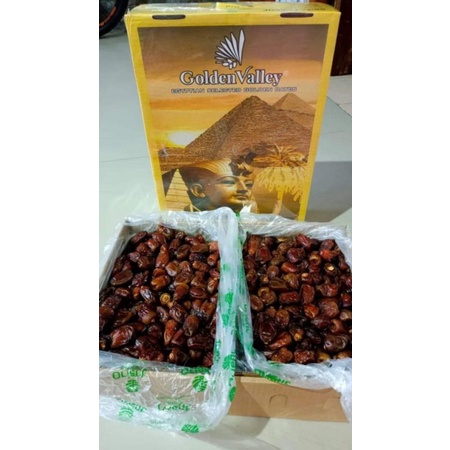 

kurma golden valley
