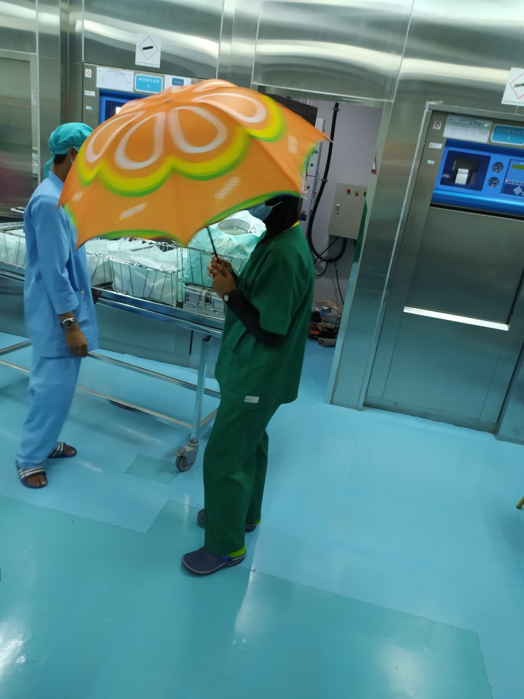 Payung Motif Buah / Payung Lipat Motif Buah / Payung Buah Motif 3d