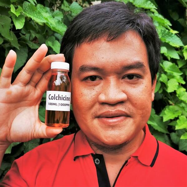 Hormon Tanaman Colchicine Kolkisin 100ml Mutasi Raksasa Polipoid