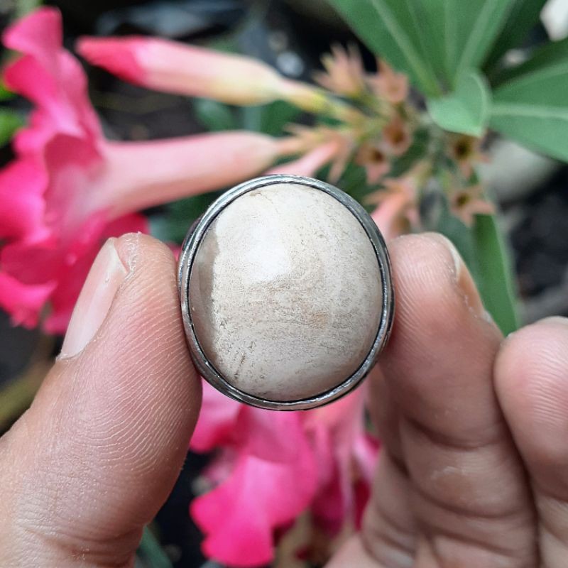 Fosil Kayu Semi Kristal Urat Unik