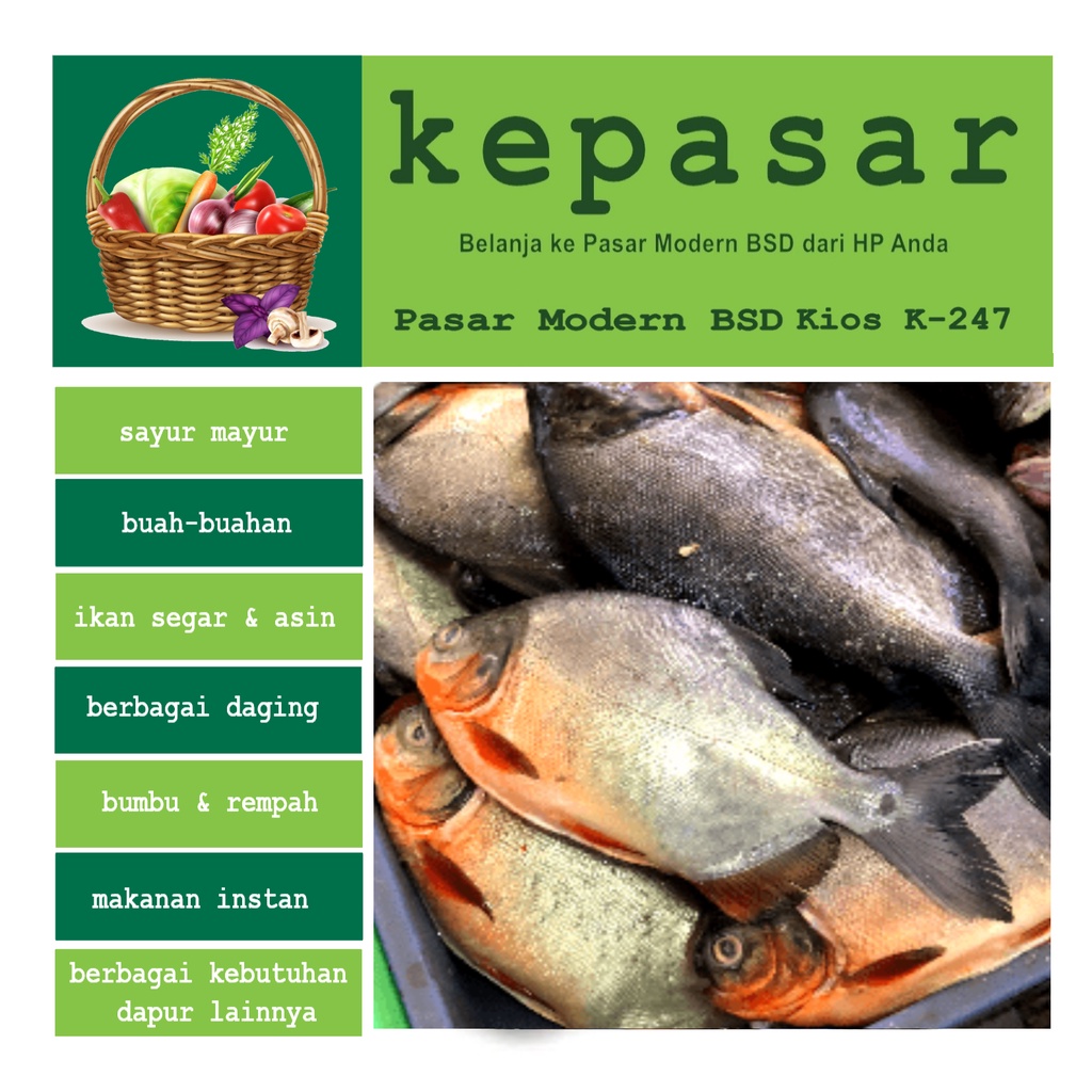 

Ikan Bawal Merah 500 g