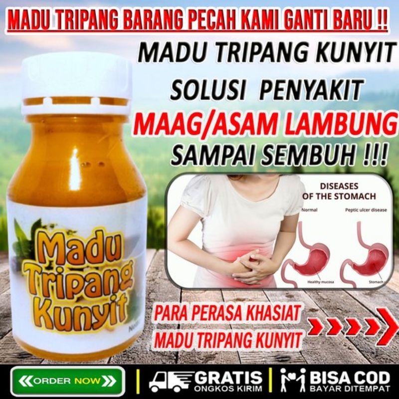 

Madu Lambung Teripang Kunyit Untuk Penyakit Lambung Kronis, Maag, Gerd, Dll