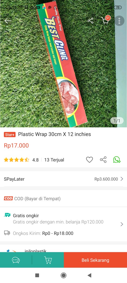 Plastic Wrap 30cm X 12 Inchies