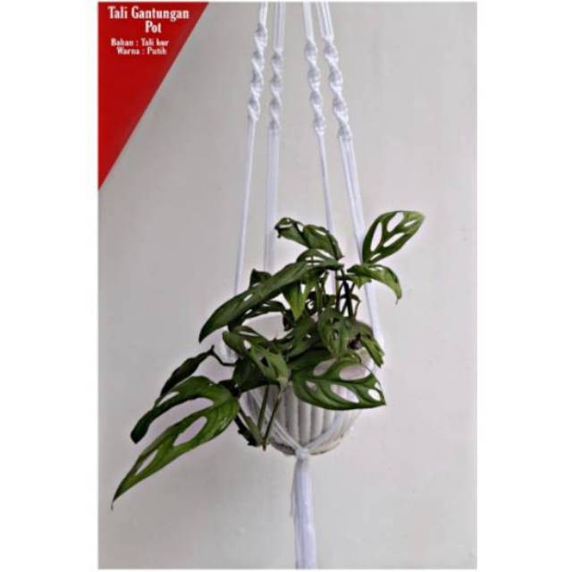 Gantungan Pot Bunga Tali Kur