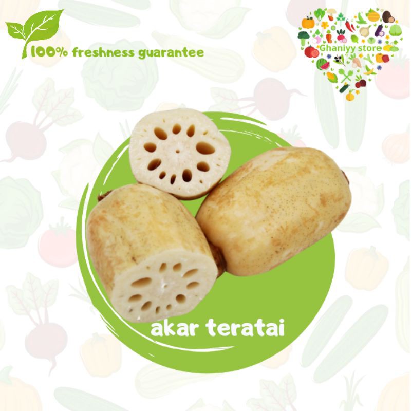 

akar teratai 500 gr