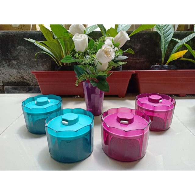 Tupperware advanced counterpart small