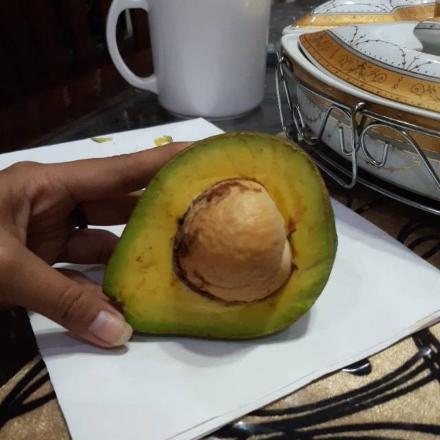 

alpukat mentega