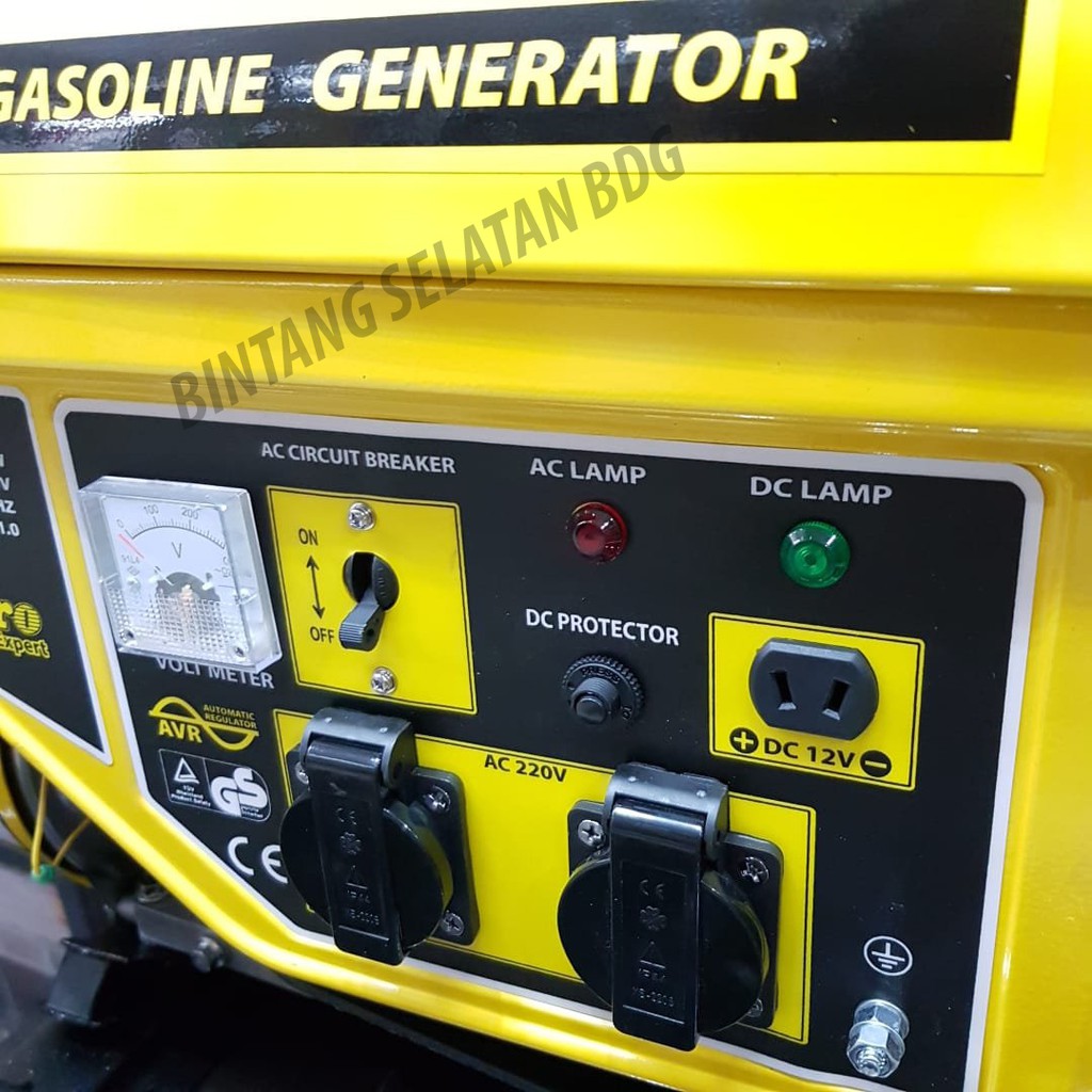 Multipro GG-2900 /4 SW Genset Portable Generator Set