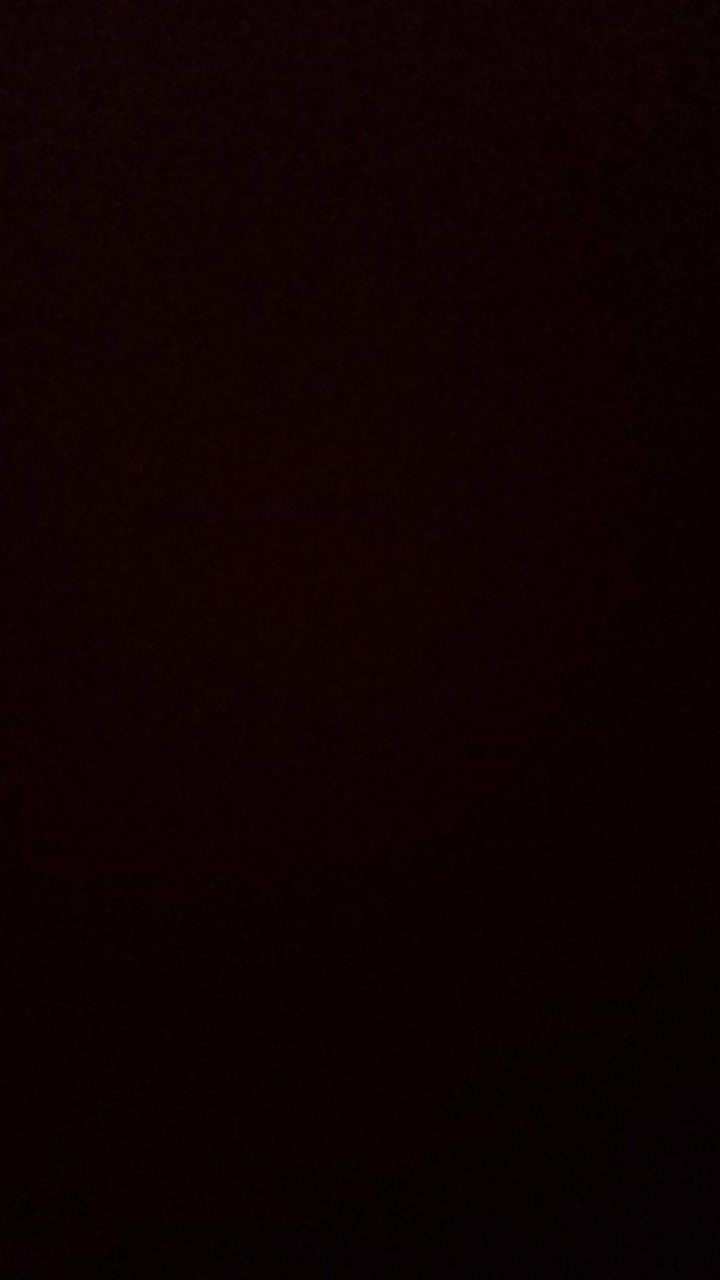 Bunga Tanaman Hias Miana Dark Red