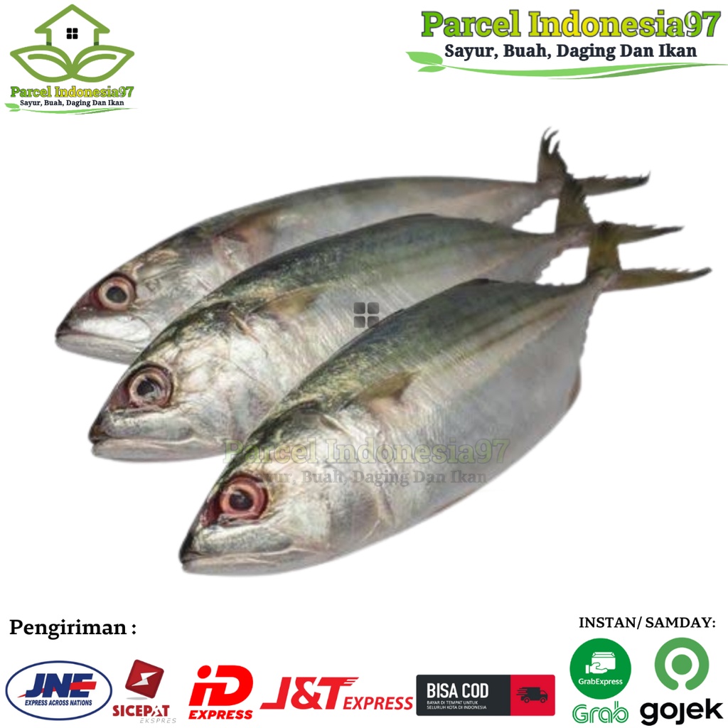 

Ikan Kembung Banjar PREMIUM LOKAL Segar pasar murah