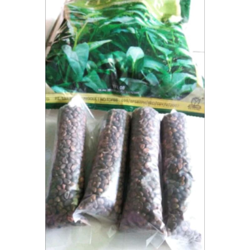 biji kangkung bibit kangkung