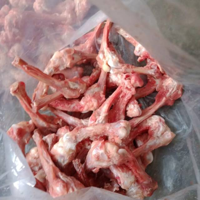 

Tulang ayam