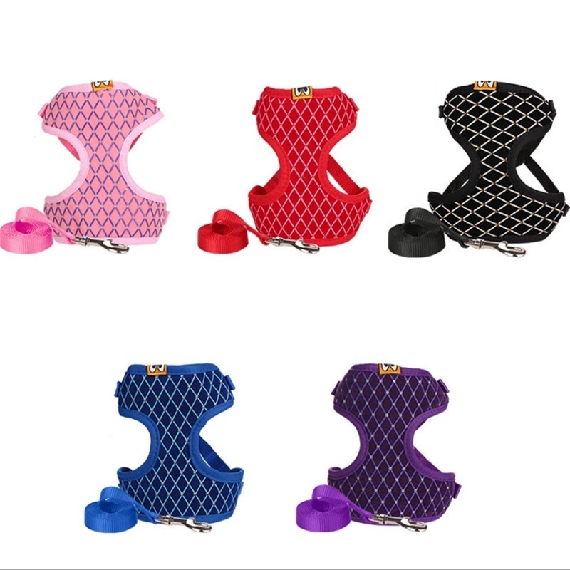 small cat harness and leash
