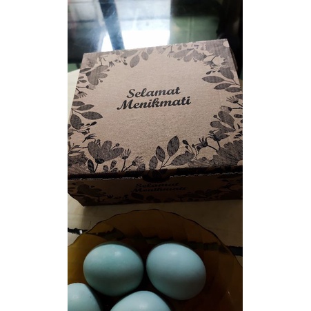 Dus Nasi Kotak Coklat ukuran 18x18x7 isi 5 lembar