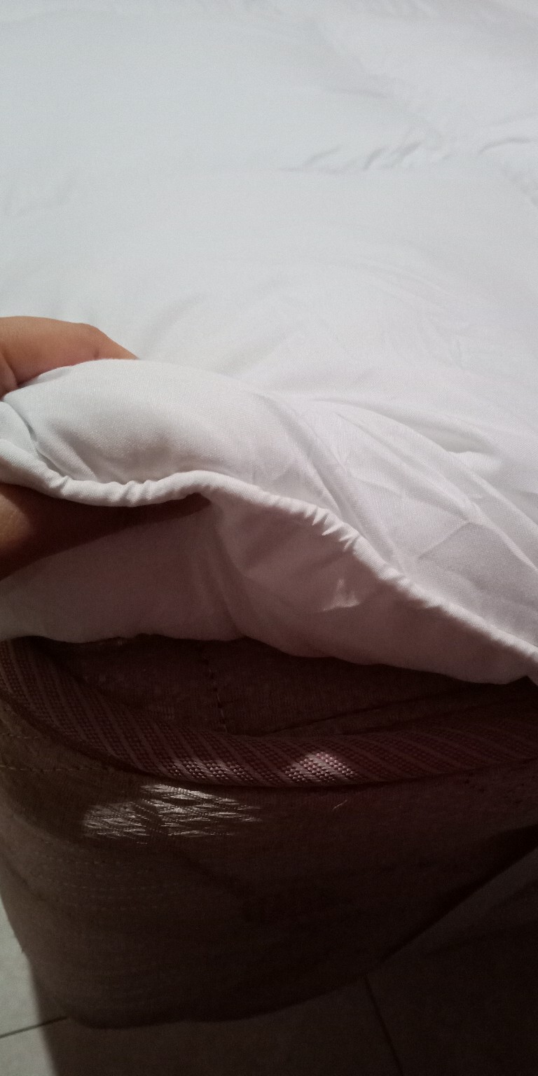 Hotel Bed Mattress (matras) Topper / Cover -ex Single | 100% Microgel