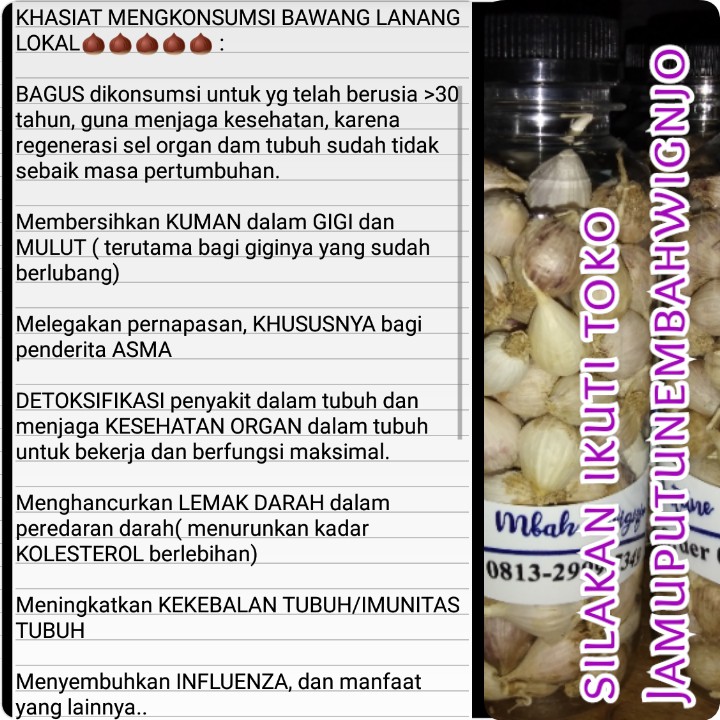 

BAWANG LANANG LOKAL