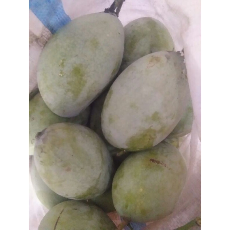 

Mangga simanis