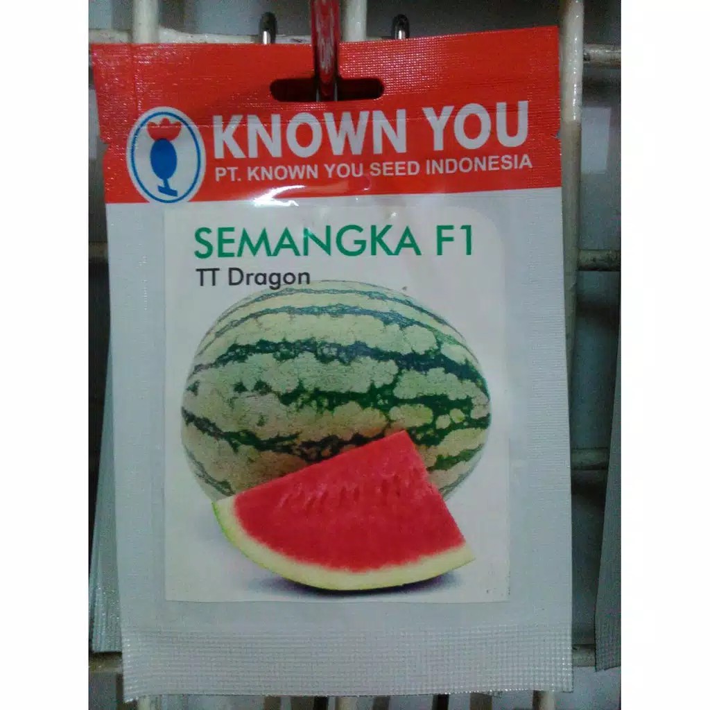 Benih Biji Bibit Semangka F1 TT Dragon - Known You Seed