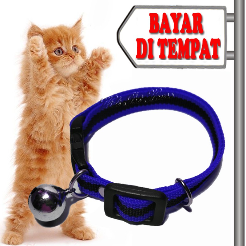 KALUNG KUCING POLOS WARNA BANYAK PAKAI LONCENG