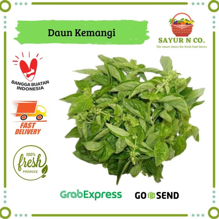 

Daun Kemangi | Sayur N Co Bekasi