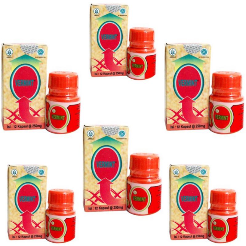 Vermint Mengatasi Penyakit Tifus / Obat Demam / Kapsul Cacing 12 Kapsul