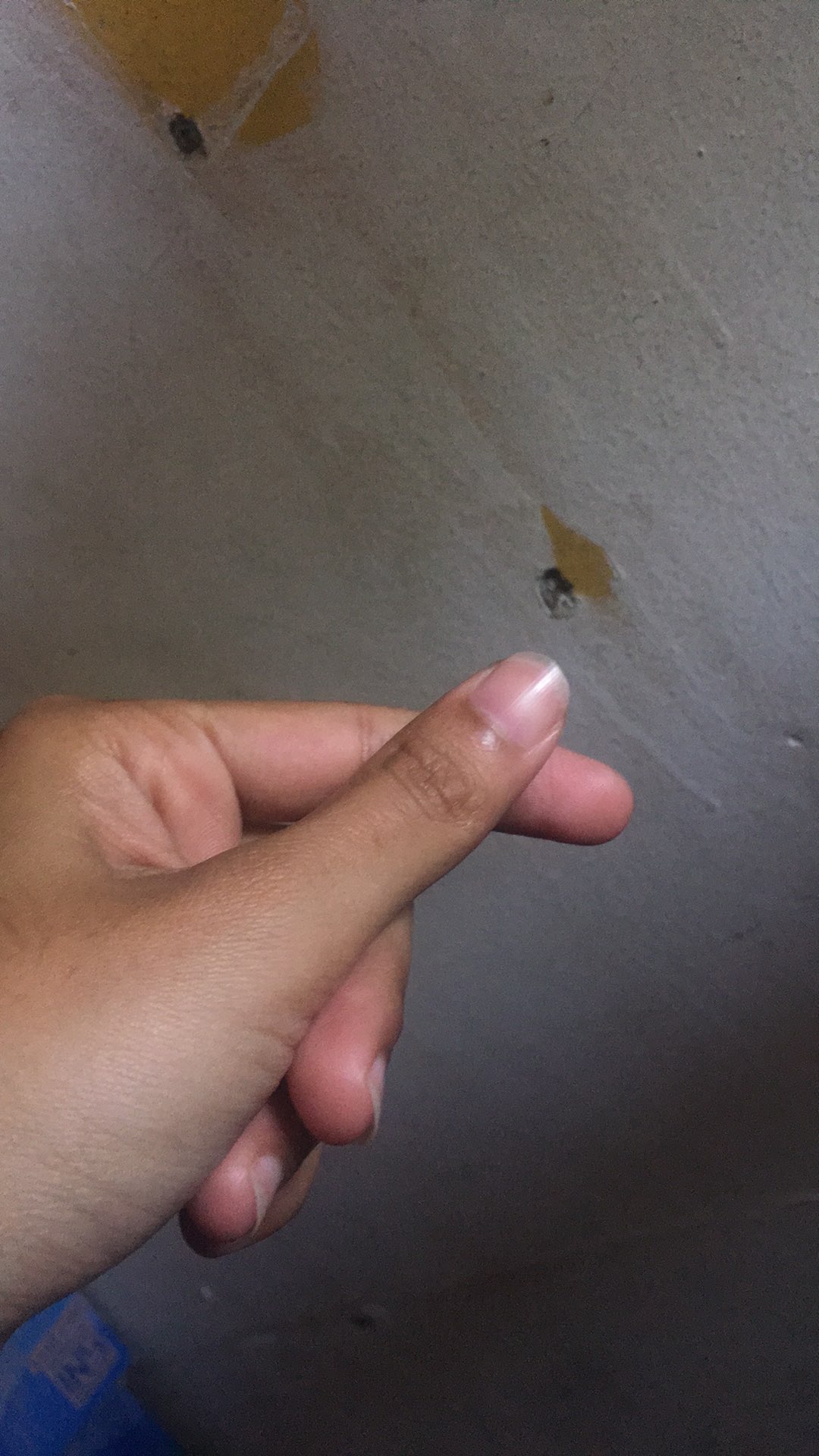 Toples Bening Tutup Seal (e) Tutup Aluminium (g) Eceran Pet Can Food / Dessert