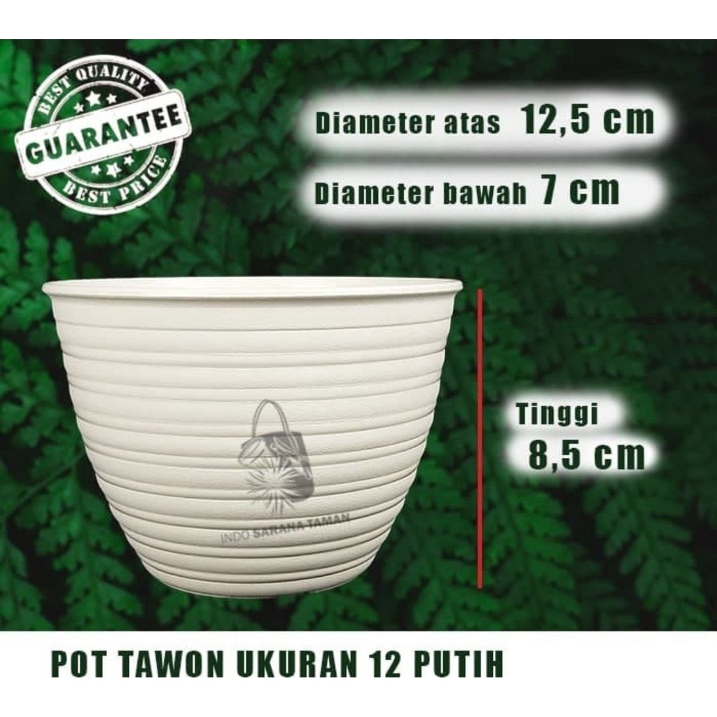 POT TAWON 12 PUTIH Pot Tanaman Pot Plastik Pot Bunga Grosir Pot Pot Unik Pot Tawon ASLI