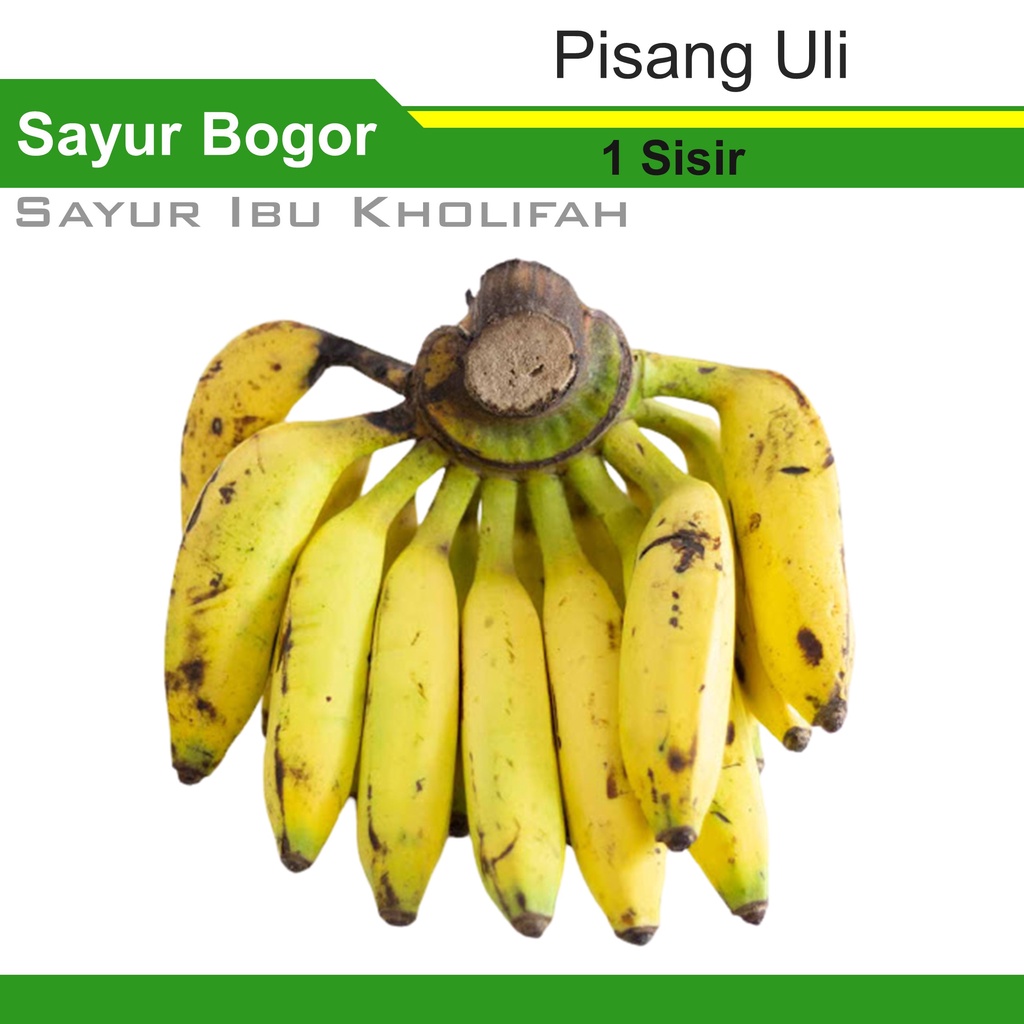 

Pisang Uli 1 Sisir Fresh Toko Buah Segar Bogor Freshmart Market
