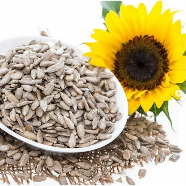 

Biji Bunga Matahari Sunflower seeds Oven 500gr