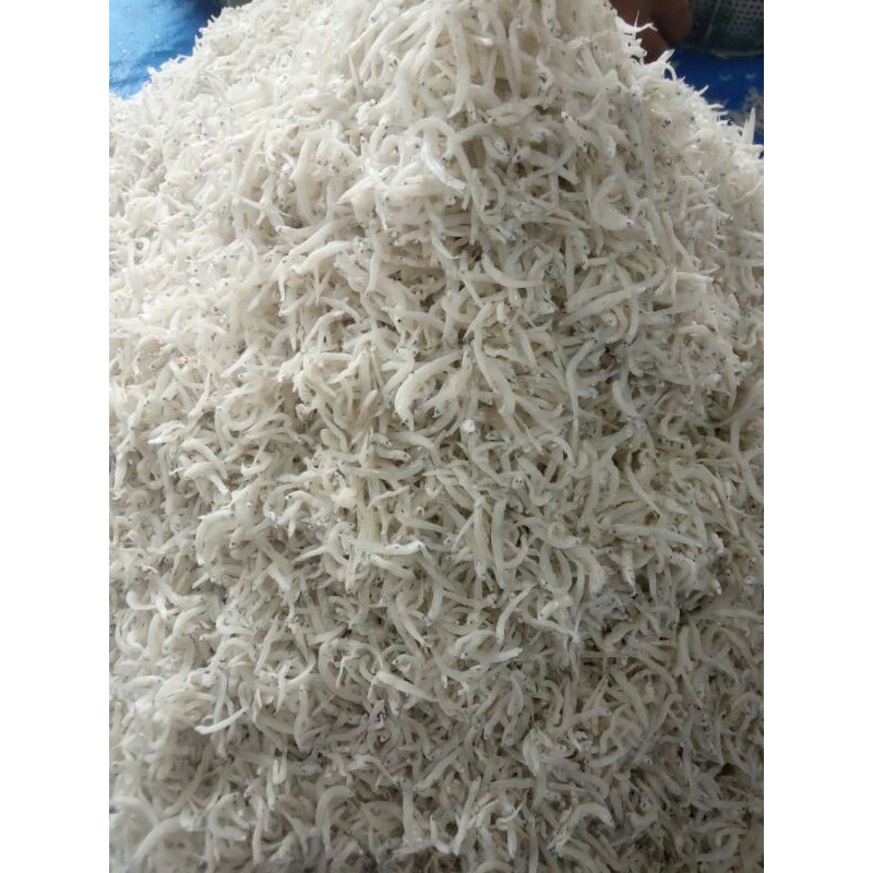 

Ikan Teri Nasi Medan