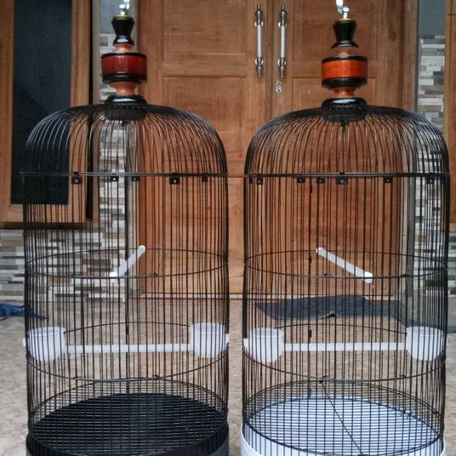Kandang Sangkar Besi Burung Lovebird Shopee Indonesia