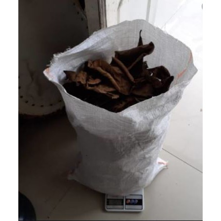 MURAH DAUN KETAPANG KERING GROSIR (250 GRAM)