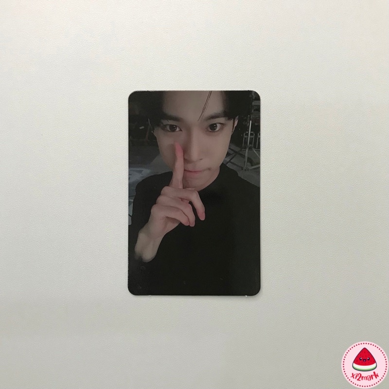 PC PHOTOCARD NCT 127 DOYOUNG ALBUM REGULAR IRREGULAR MERCH OFFICIAL READY INA AAB DY MURAH