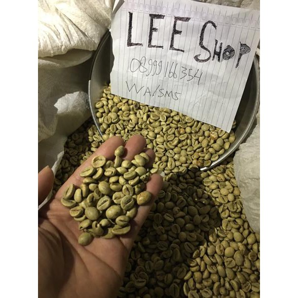 

GRATIS ONGKIR KOPI HIJAU /GREEN BEAN COFFE KUALITAS TERBAIK UNTUK DIET HERBAL (1KG) TERLARIS