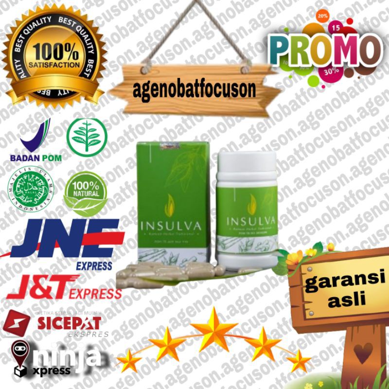 asli 100% original INSULVA Asli Obat Diabetes & Kencing Manis Herbal Manjur BPOM INSULAB_INSULVA