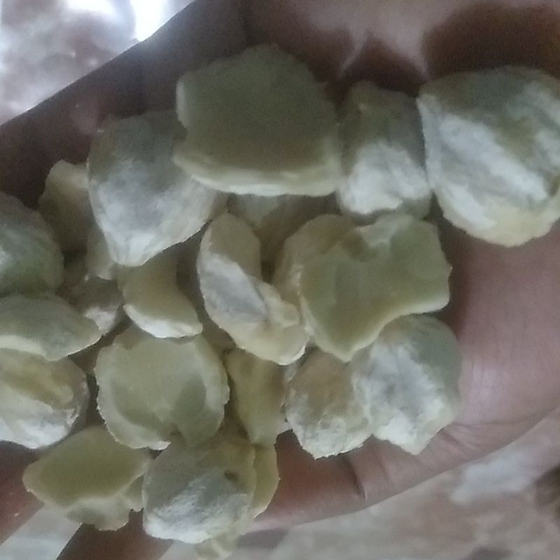 

kemiri kualitas ok 35000/kg