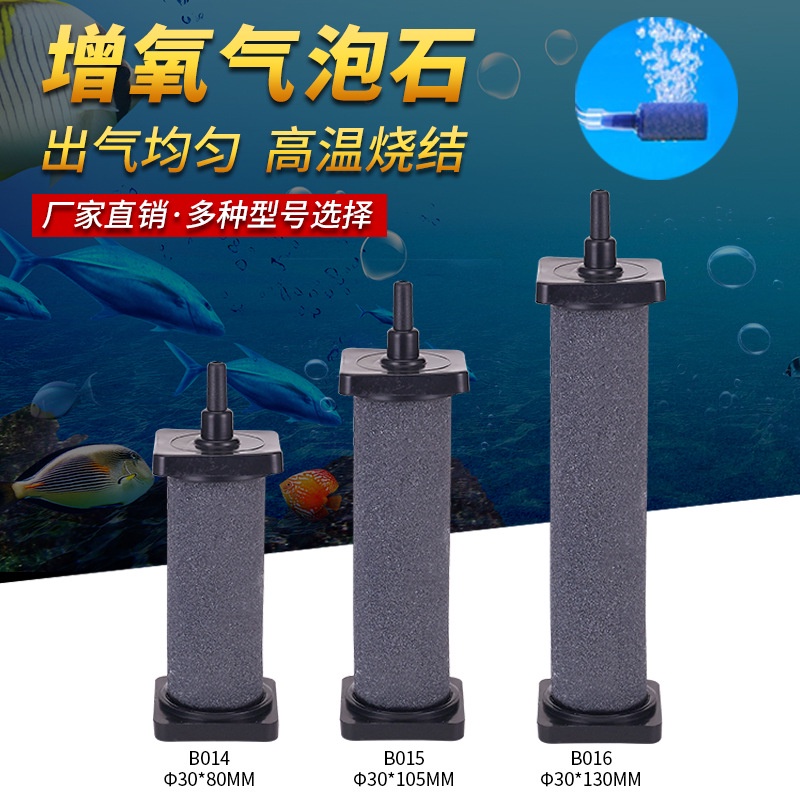 Batu aer rator panjang variasi aquarium aquascape