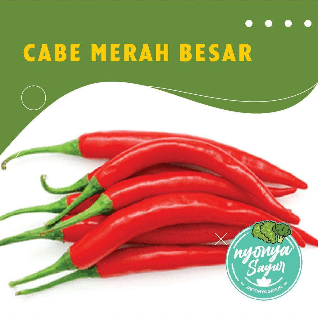 

Cabe Merah Besar 100 gram