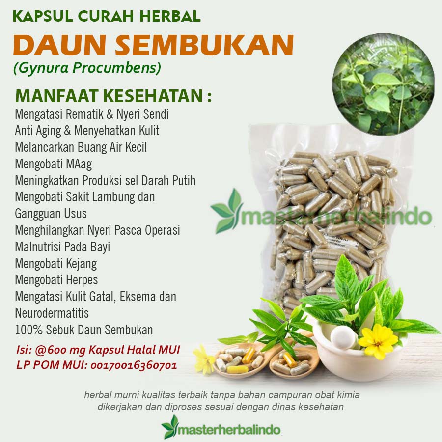 

DAUN SEMBUKAN 200x600mg Kapsul Curah Herbal Gatal Eksema Rematik Diuretik Kejang