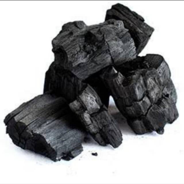 New Media tanam Arang hitam kayu asem - arang hitam