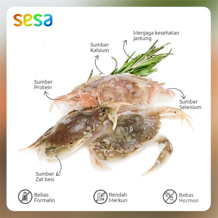 

Baby Crab Beku 500 g Best Seller