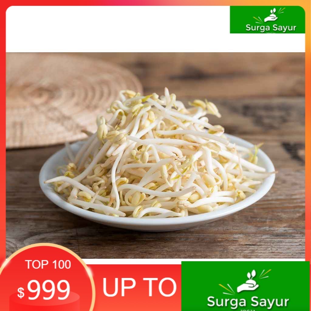 

SURGA SAYUR SEGAR Toge / Tauge 100 Gram