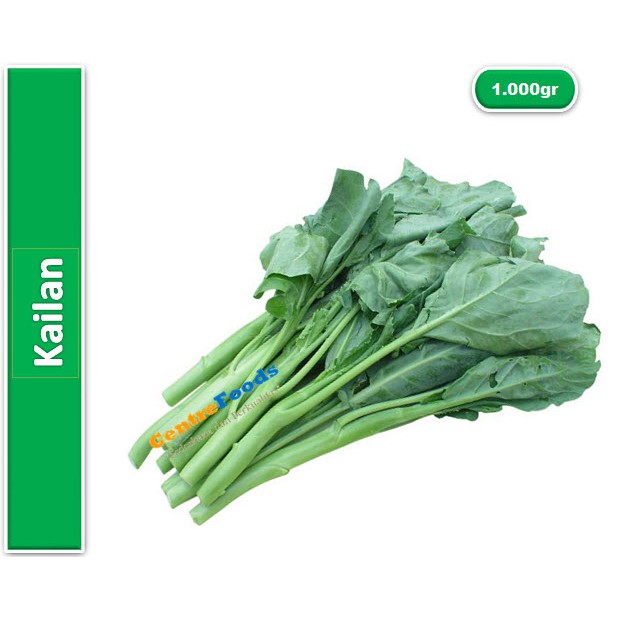 

Kailan Fresh | Lokal [ Harga Per KG ]