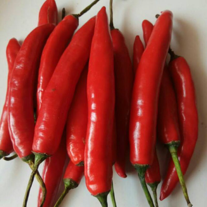 

cabe merah besar 500gm