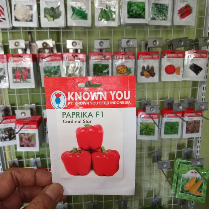 

Jual Benih Paprika F1 CARDINAL STAR Known You Original Pack Berkualitas