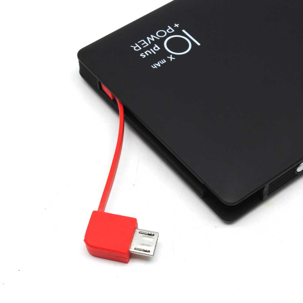 Sinofer Power Bank 2 USB Port 10000mAh Lightning and Micro USB