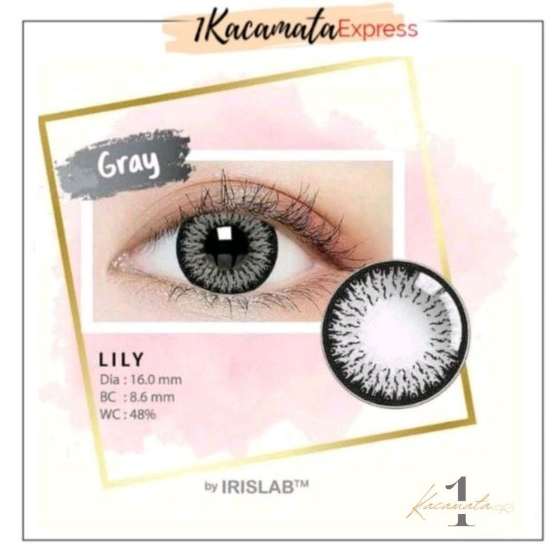 SOFTLENS WARNA